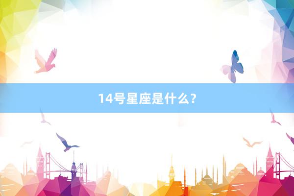 14号星座是什么？