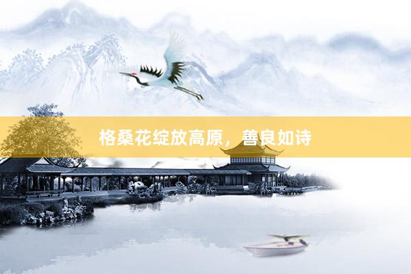 格桑花绽放高原，善良如诗