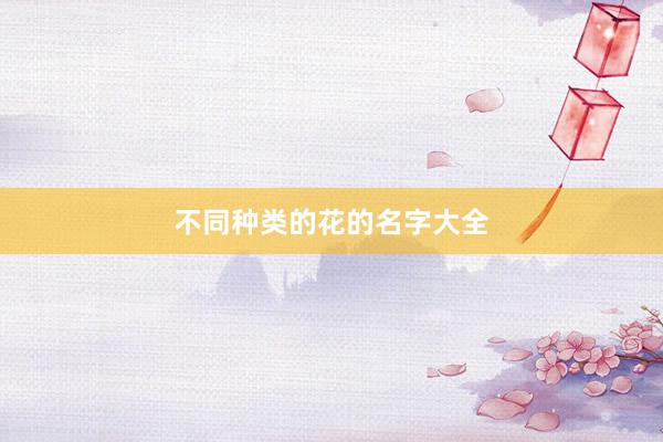 不同种类的花的名字大全