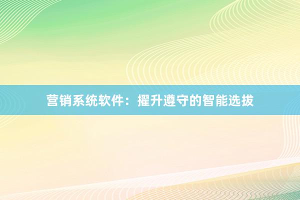 营销系统软件：擢升遵守的智能选拔