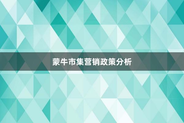 蒙牛市集营销政策分析